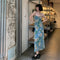 Robe Longue Fleurs Bleues
